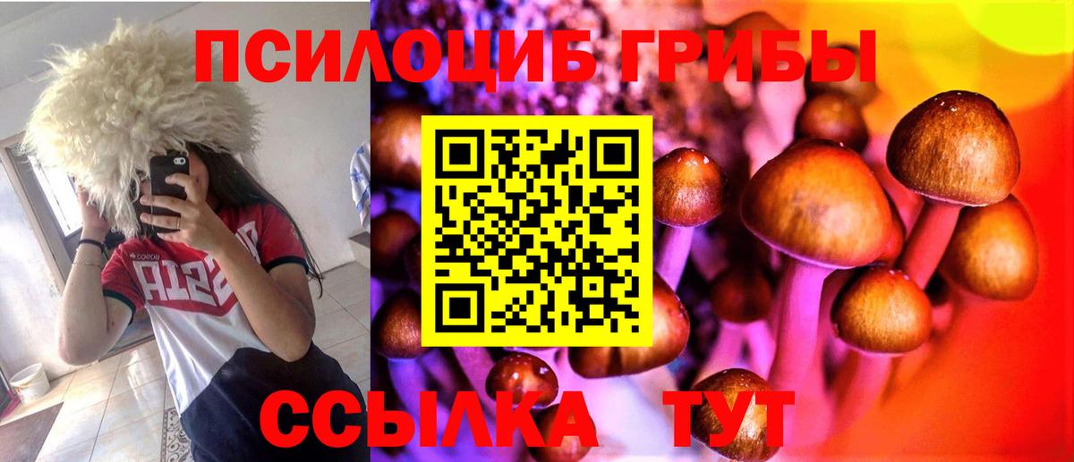 Галлюциногенные грибы мицелий Советск