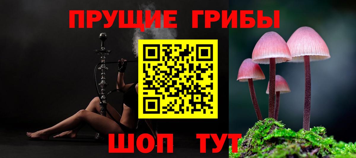 Псилоцибиновые грибы мухоморы  Вход с VPN  Псилоцибиновые грибы мицелий  Советск 